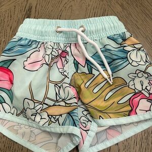 Blueberry bay swim trunks